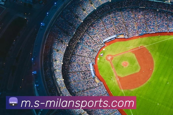 米兰体育APP 封面图